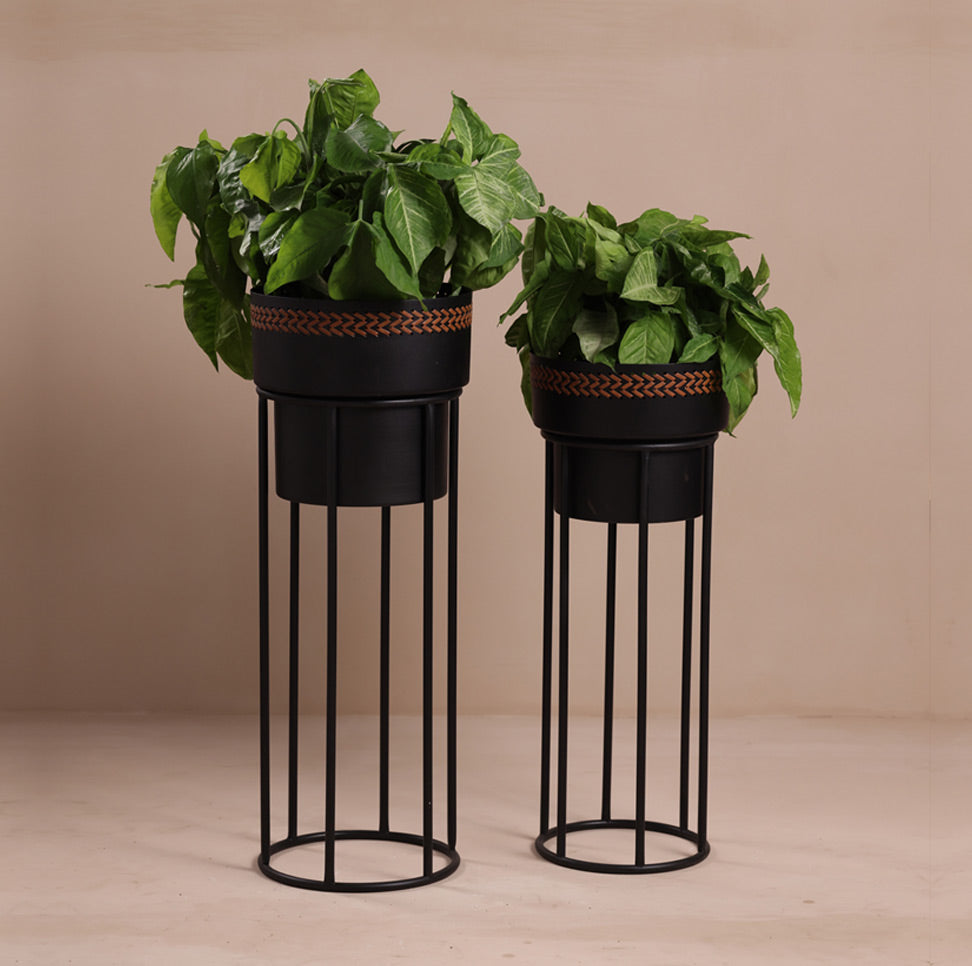 Planters