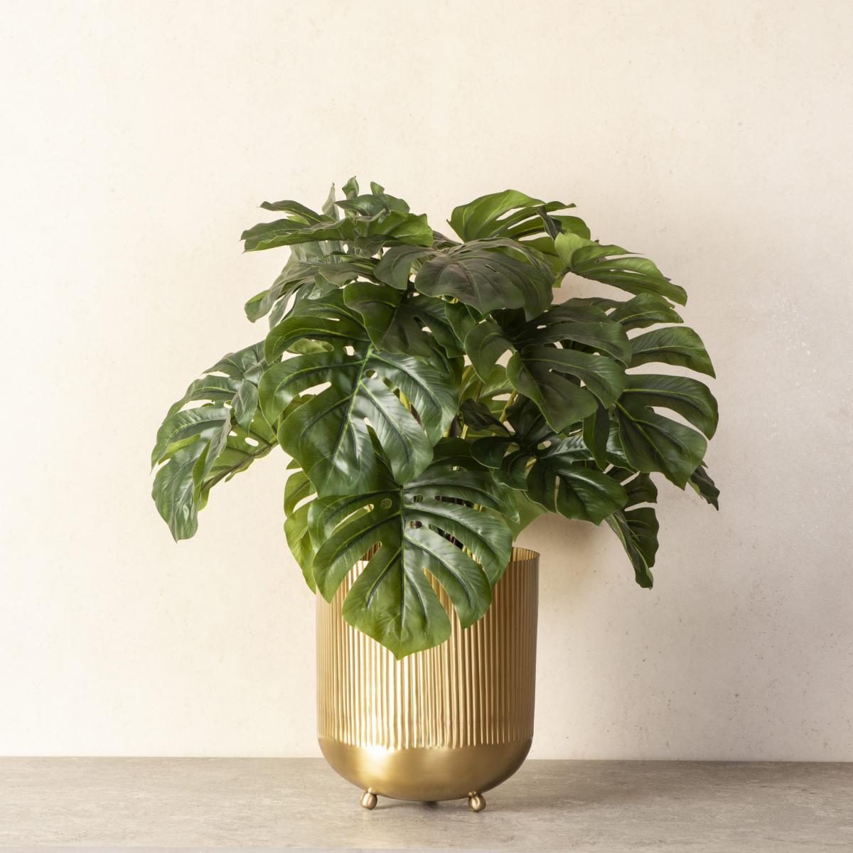 Ripple Cut Brass Dustbin/Planter - Matte Gold – The Decor Remedy